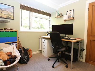 Picture 13